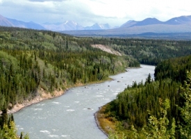 Alaska River Raft Trips